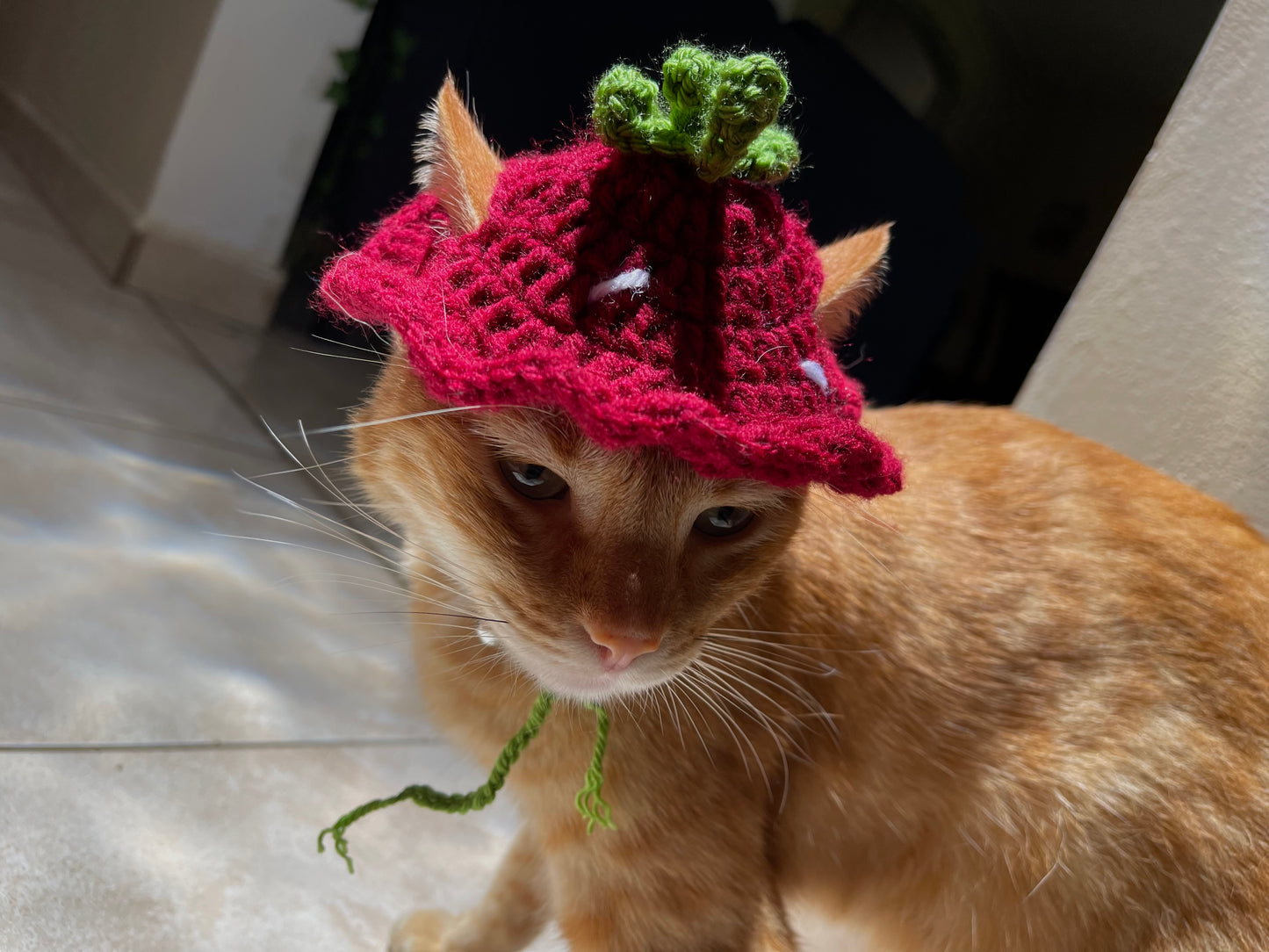 Hat de fresa 🍓