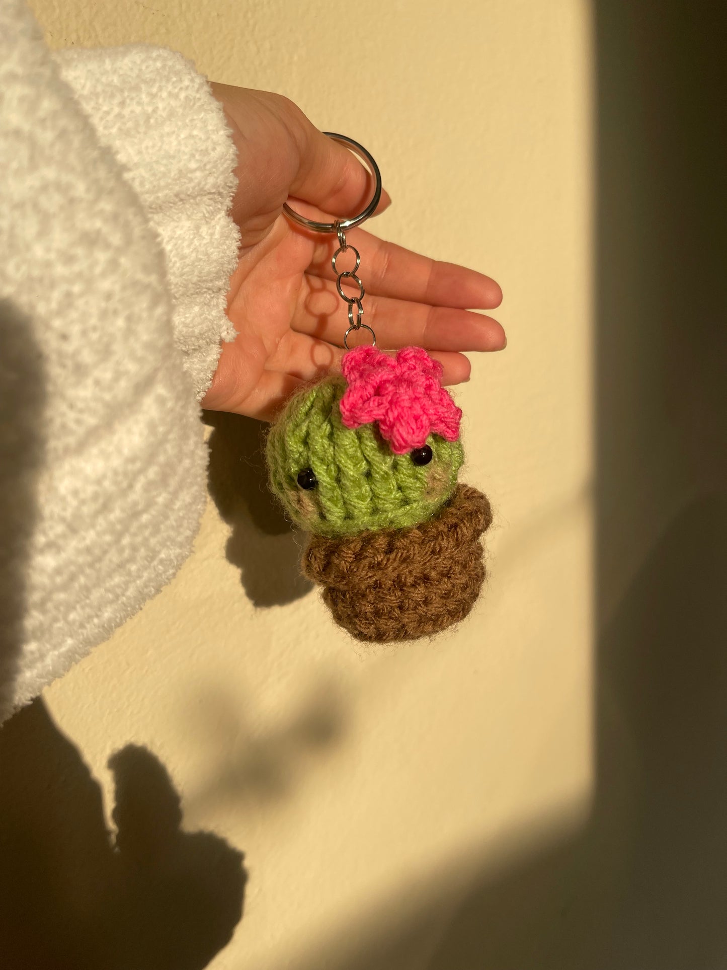 Cactus šµ