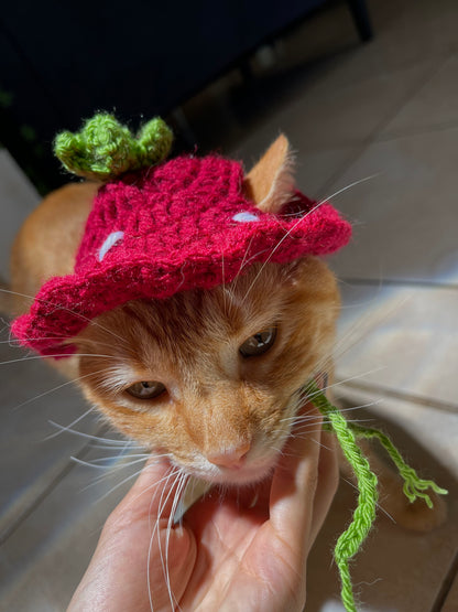 Hat de fresa 🍓