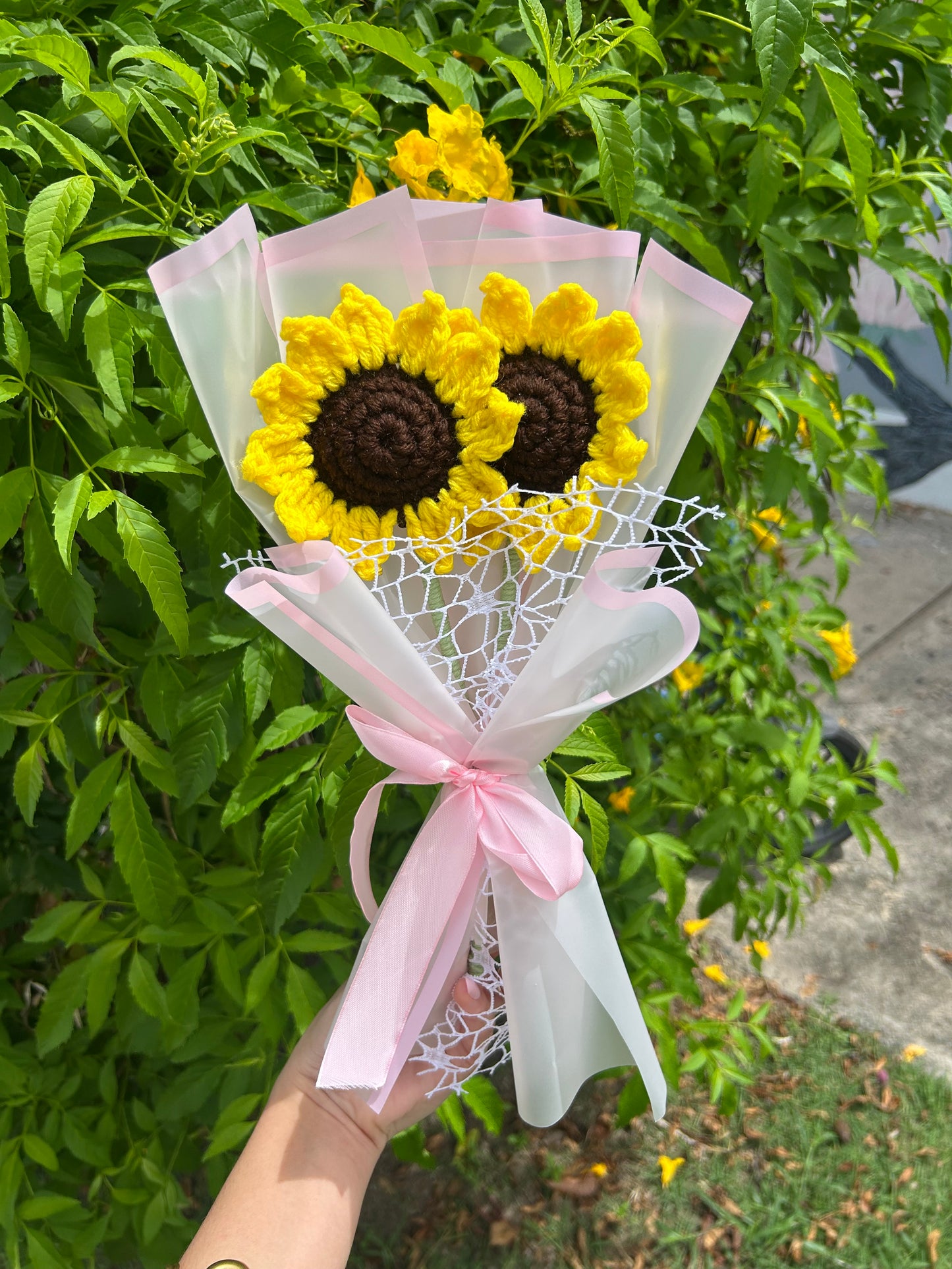 Girasoles 🌻