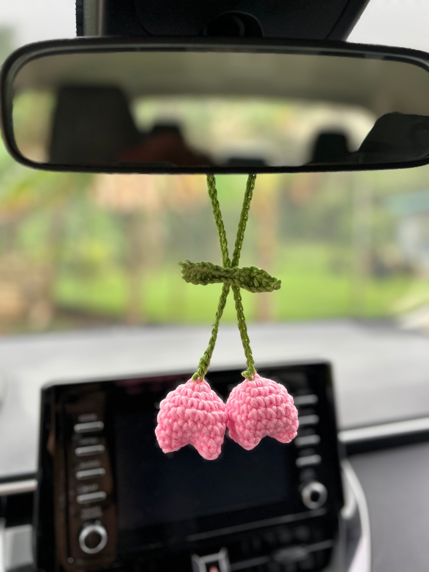 Tulip hanging 🌷