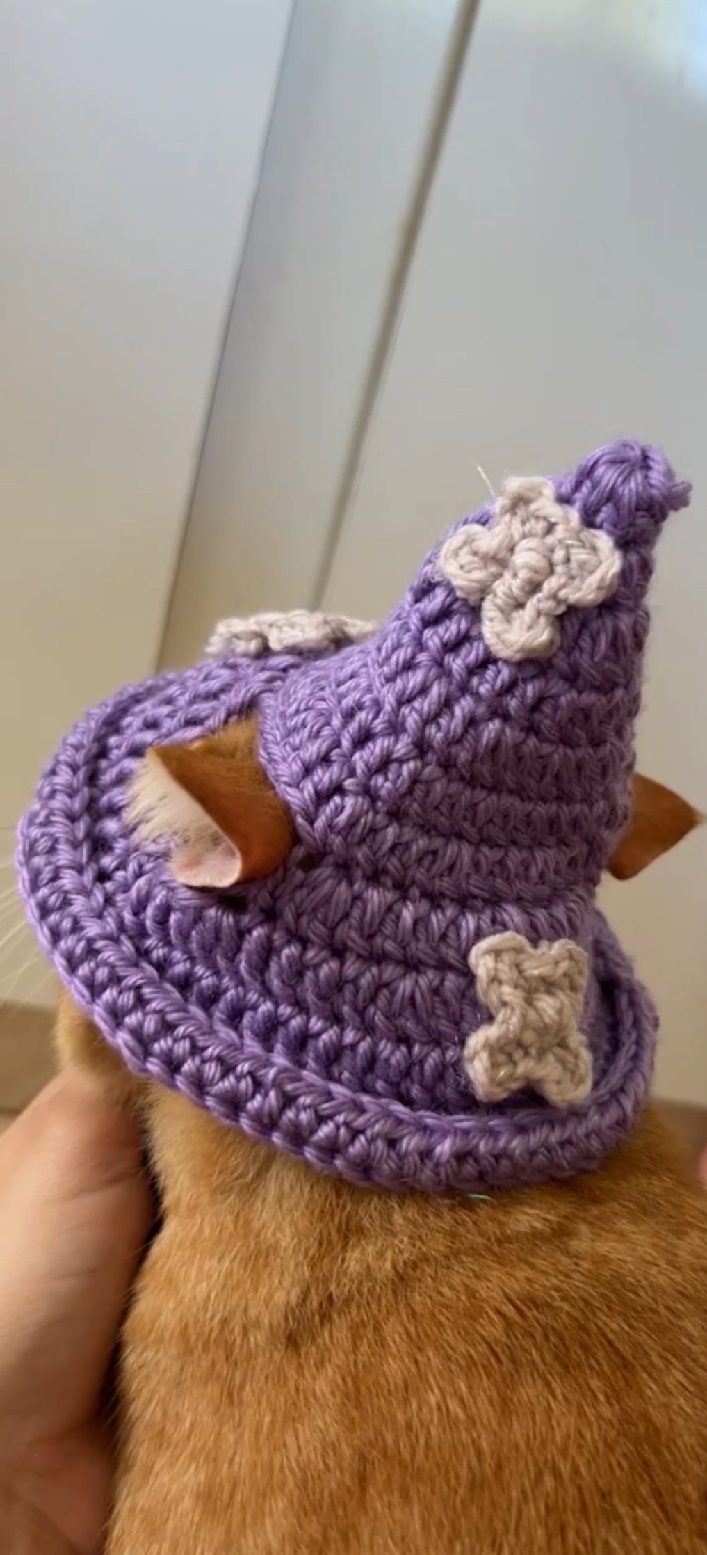 Witch hat 🤍