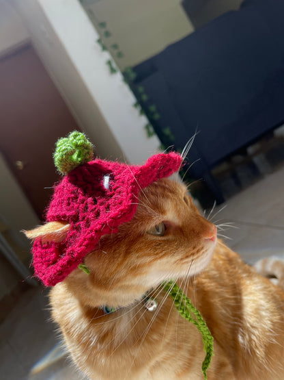 Hat de fresa 🍓