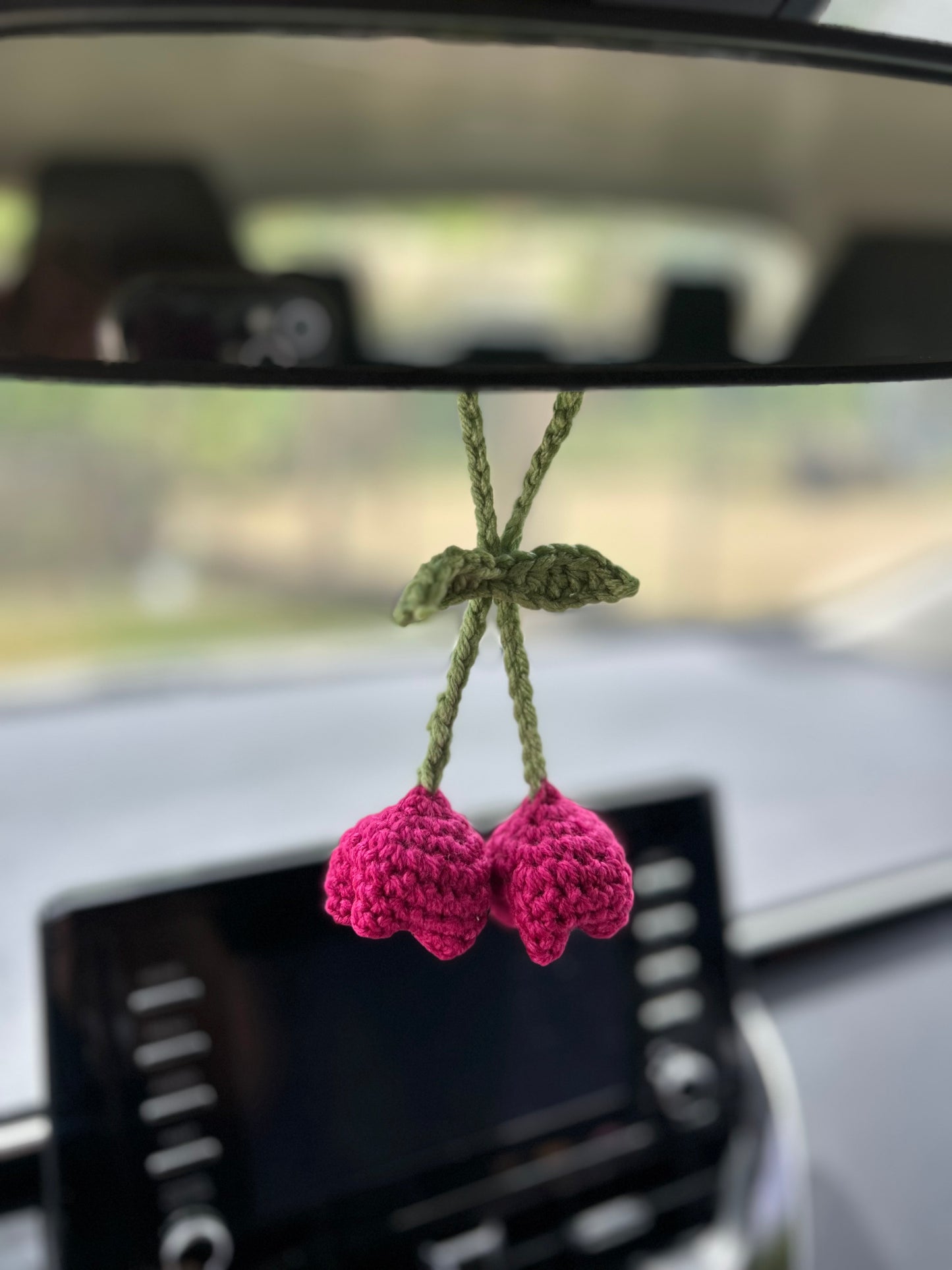 Tulip hanging 🌷