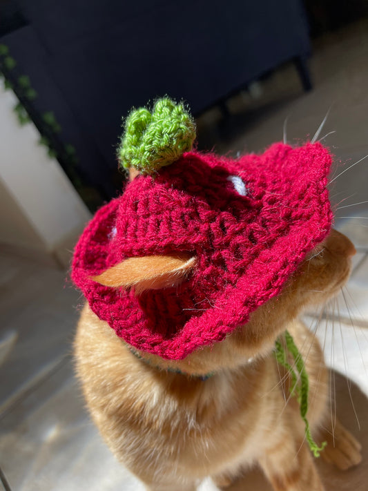 Hat de fresa 🍓