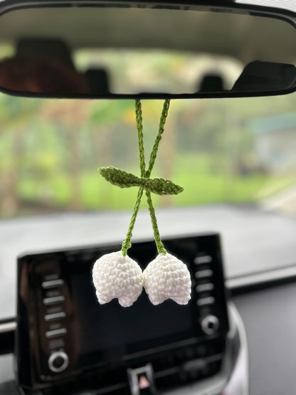 Tulip hanging 🌷
