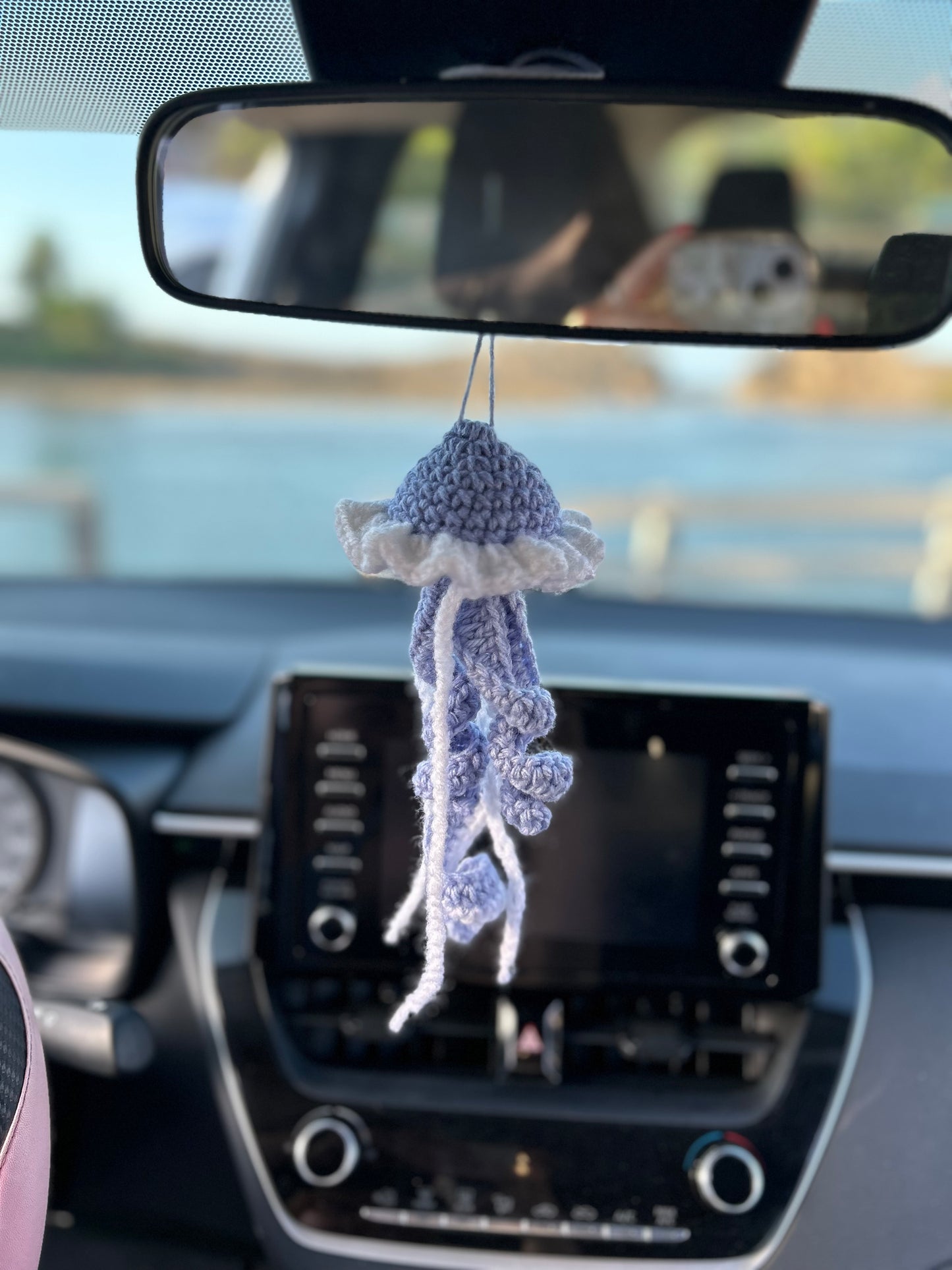 Medusa hanging