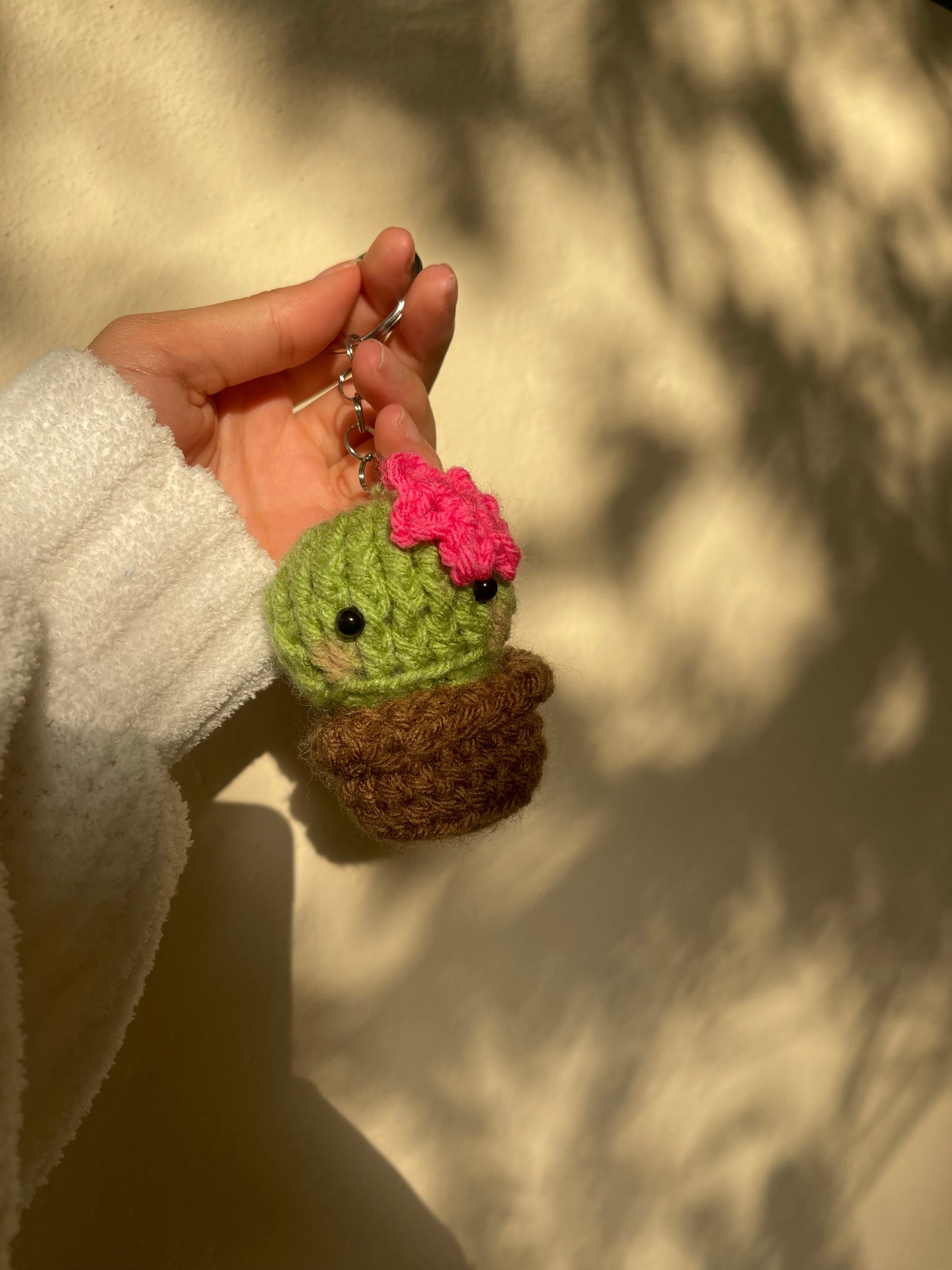 Cactus 🌵